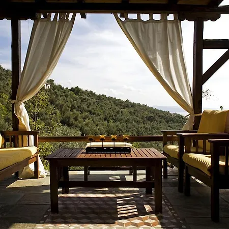 Dom wakacyjny Amanti *